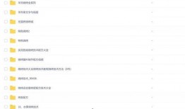 爆料小吃教程视频,轻松学会制作美味小吃！